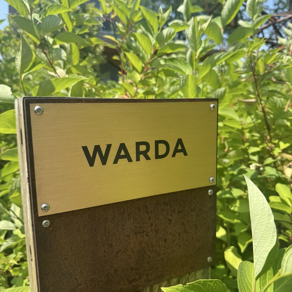 Warda - Warda - Coffee & Tea Near Me - Detroit, Michigan