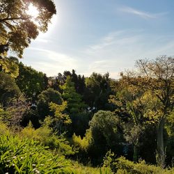 Quinta Los Ombúes