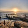 La Jolla Tide Pools gift card
