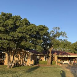 Caprock Tree Removal