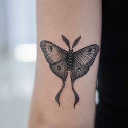 Baron Art Tattoo Piercing Studio