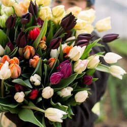 Full Heart Farm - Spring Flowers