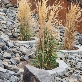 David Vargas Landscaping - Landscaping Near Me David Vargas Landscaping - Landscaping Near Me