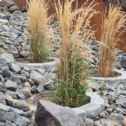 David Vargas Landscaping