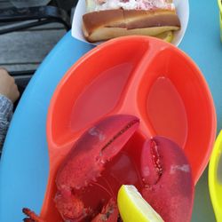 Lusty Lobster - Lobster and roll