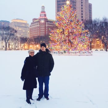 New Haven Green - big tree - Parks Near Me - New Haven, Connecticut