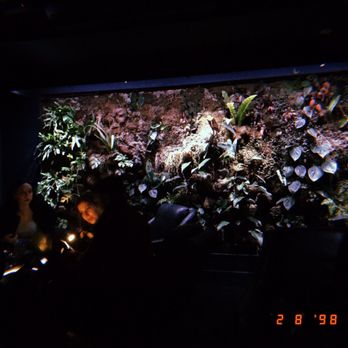 Undercote - Inside undercote - Speakeasies Near Me - New York, New York