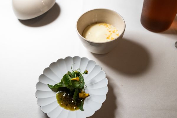 Hallmann und Klee by null