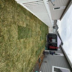 Uribes Renovation - Sod installion