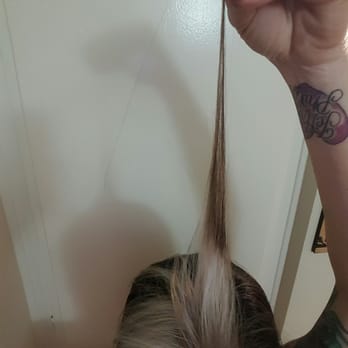 K C Salon - MISSING HLF MY BLONDE - Hair Salons Near Me - Granada Hills, California