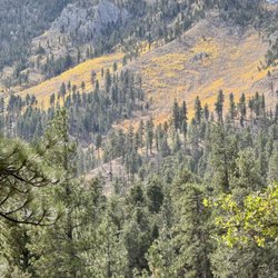 Oasis to Zen Integrative Wellness - Fall is here in the mountains