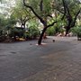Photo of Praça das Flores