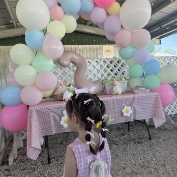 Ananda Farm - Birthday rental area - Attraction Farms Near Me - Terra Ceia, Florida