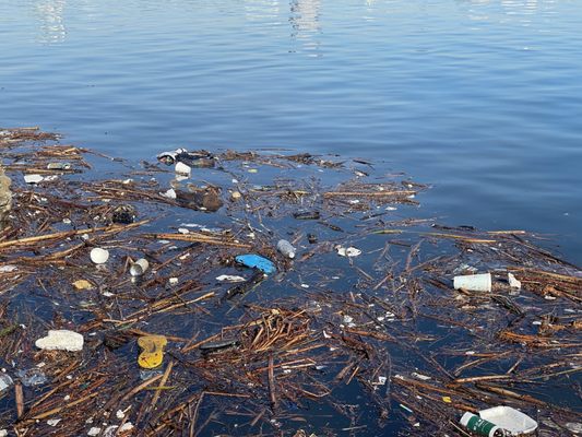 Harry Bridges Memorial Park by null