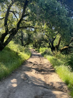 Westwood Hills Park by null