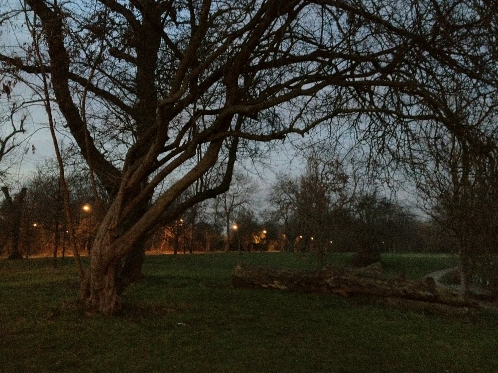 Wandsworth Common