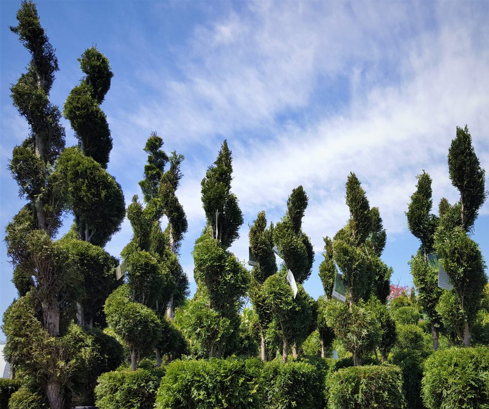 LEON’S GARDEN WORLD Updated September 2024 383 Hutton Rd, Elkton