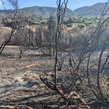 Silverwood Lake State Recreation Area - Burned area...smelled like BBQ - Parks Near Me - Hesperia, California