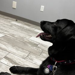 Chain of Lakes Animal Clinic