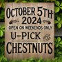 Photo of U-Pick Chestnuts