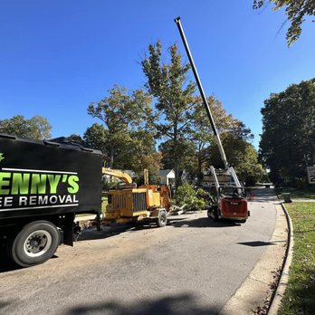 Kenny's Tree Removal - Removing large oak in Cary, NC. - Tree Services Near Me - Lillington, North Carolina
