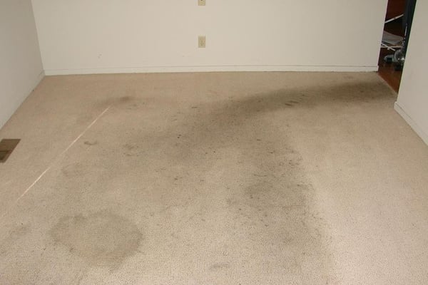 Superlative Steam Cleaning - Whether you are a business owner or a homeowner, Superlative Steam Cleaning is here for you. When you need to renew your carpets, we provide the best residential & commercial carpet cleaning services at affordable prices. Superlative Steam Cleaning - Whether you are a business owner or a homeowner, Superlative Steam Cleaning is here for you. When you need to renew your carpets, we provide the best residential & commercial carpet cleaning services at affordable prices.