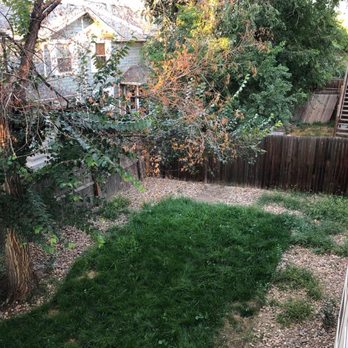 Gregorio Arevalo Landscaping - Before 2 - Landscaping Near Me Gregorio Arevalo Landscaping - Before 2 - Landscaping Near Me