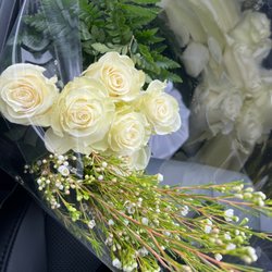Plainsboro Flowers And Gifts - Fresh roses $5 each