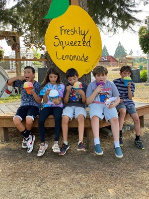 Lee Family Farms by null