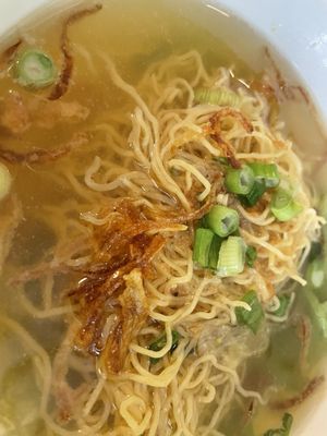 Green Papaya by null