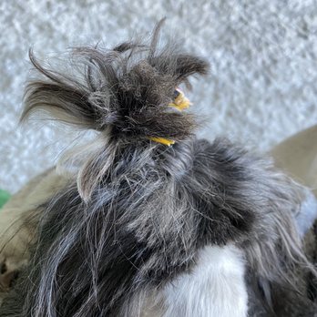 Furry Friends Retreat  - Pet Groomers Near Me - Riverview, Florida