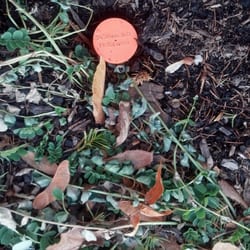 Kaaterskill Engineering Associates PC - A property corner pin, tools of the trade for our survey crew.