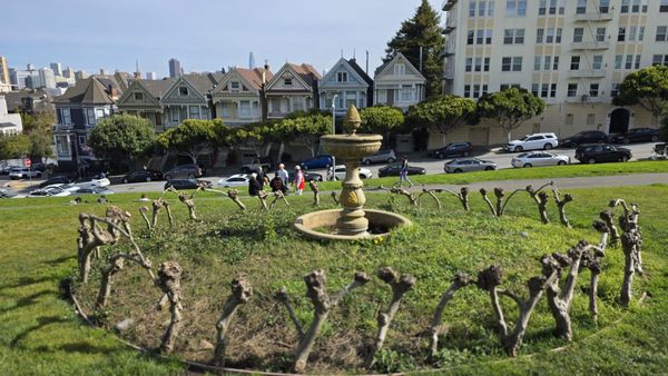 Alamo Square Park by null