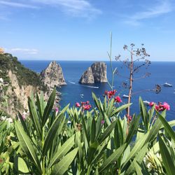 Tours of Amalfi Coast