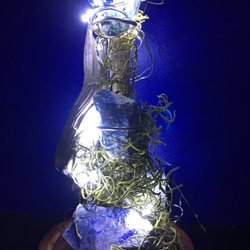 Stone Goddess Rock Shop