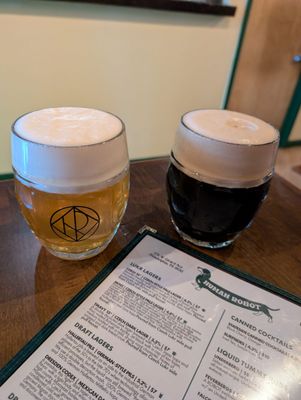 Human Robot Girard by null