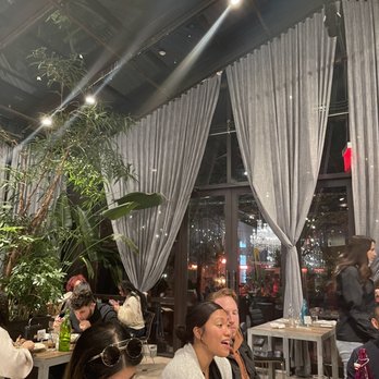 NOMO Kitchen - New American Near Me - New York, New York