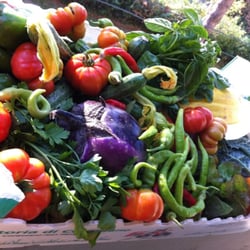 Fattoria di Corazzano - standard box of delivered vegetables
