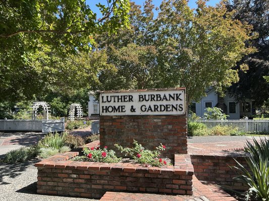 Luther Burbank Home & Gardens by null