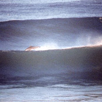 Beacon's Beach - Beacon's: The best surfers surf Beacon's - Beaches Near Me - Encinitas, California