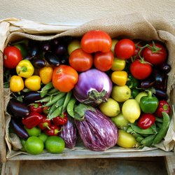 Metabolic Reset and Weight Loss Program