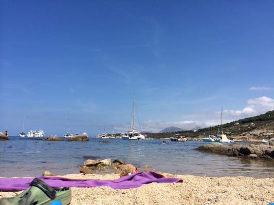 Plage de l'Alga by null