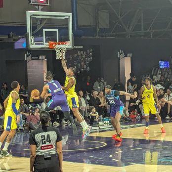 Greensboro Swarm - Professional Sports Teams Near Me - Greensboro, North Carolina Greensboro Swarm - Professional Sports Teams Near Me - Greensboro, North Carolina