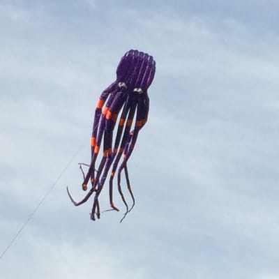 Addison Circle Park by null