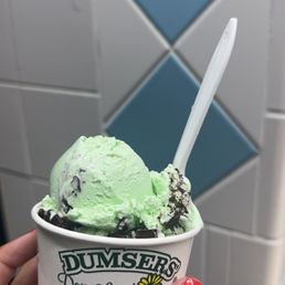 Mint Chocolate Chip Ice Cream