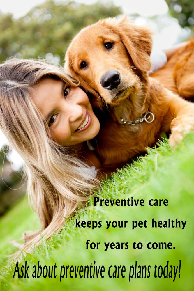 Hickman Mills Animal Hospital - pet boarding facility in Kansas City, MO