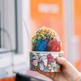 Shave Hawaiian Ice