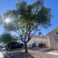 Leo Garcias Lawn Service - After trimming of tree
