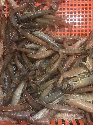 D&K Live Seafood by null