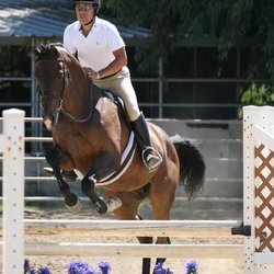QUEST Equestrian - Jerry jumping Bandit.